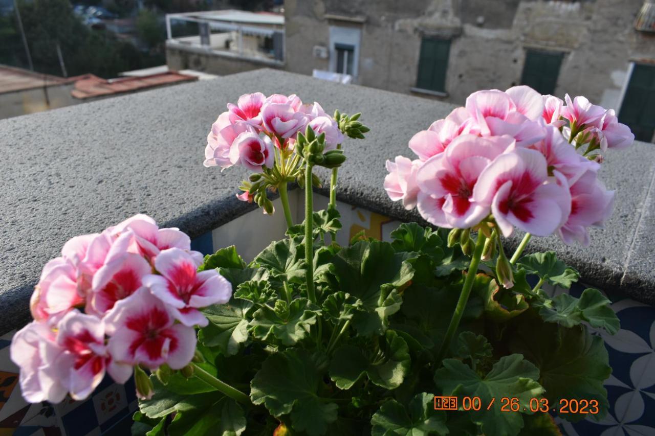 Casa Materdei Apartment Наполи Екстериор снимка